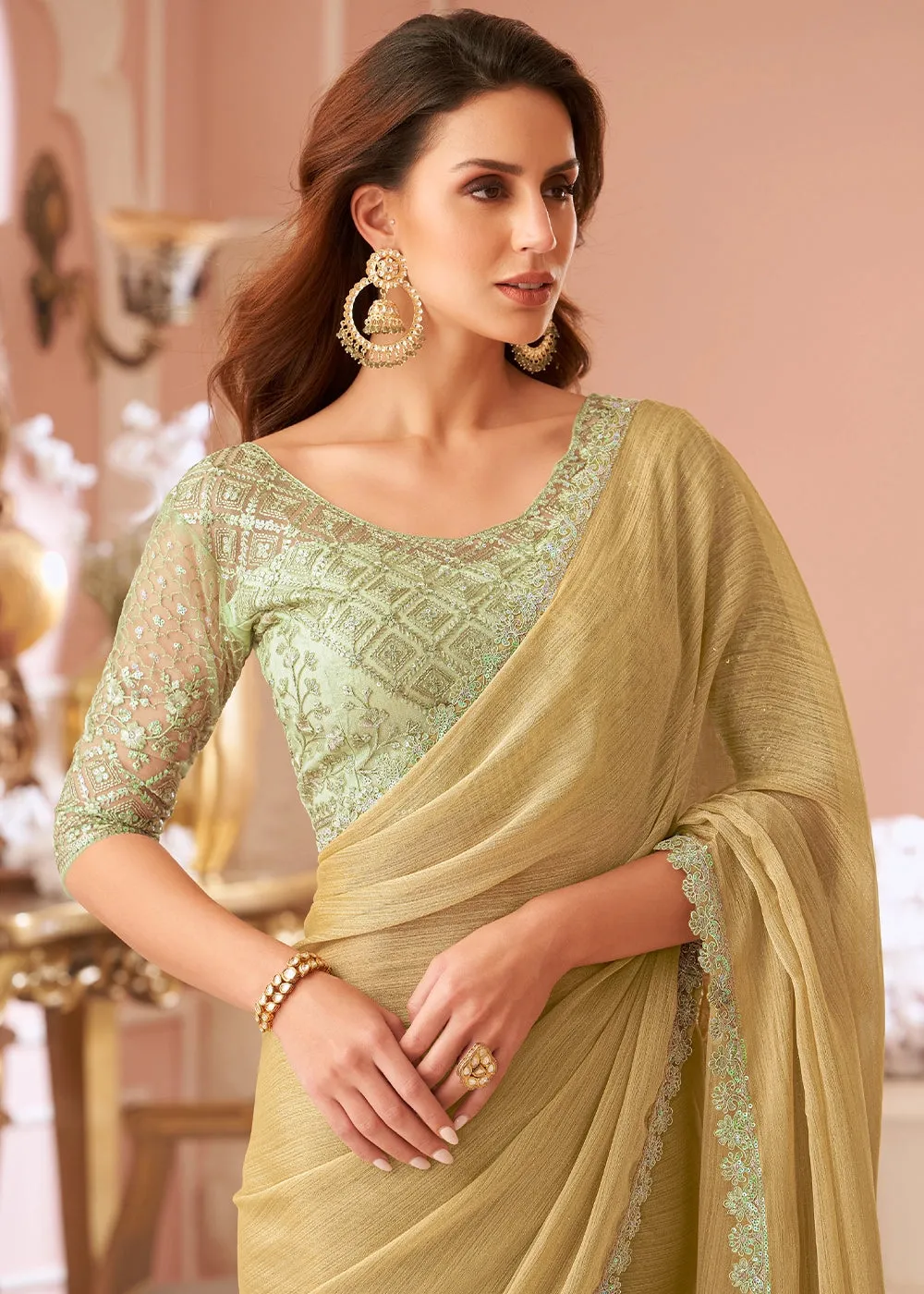 Beige Brown Embellished Georgette Saree with Designer Blouse
