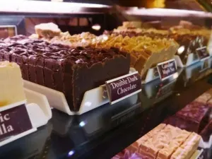 Fudge Shop Business Plan