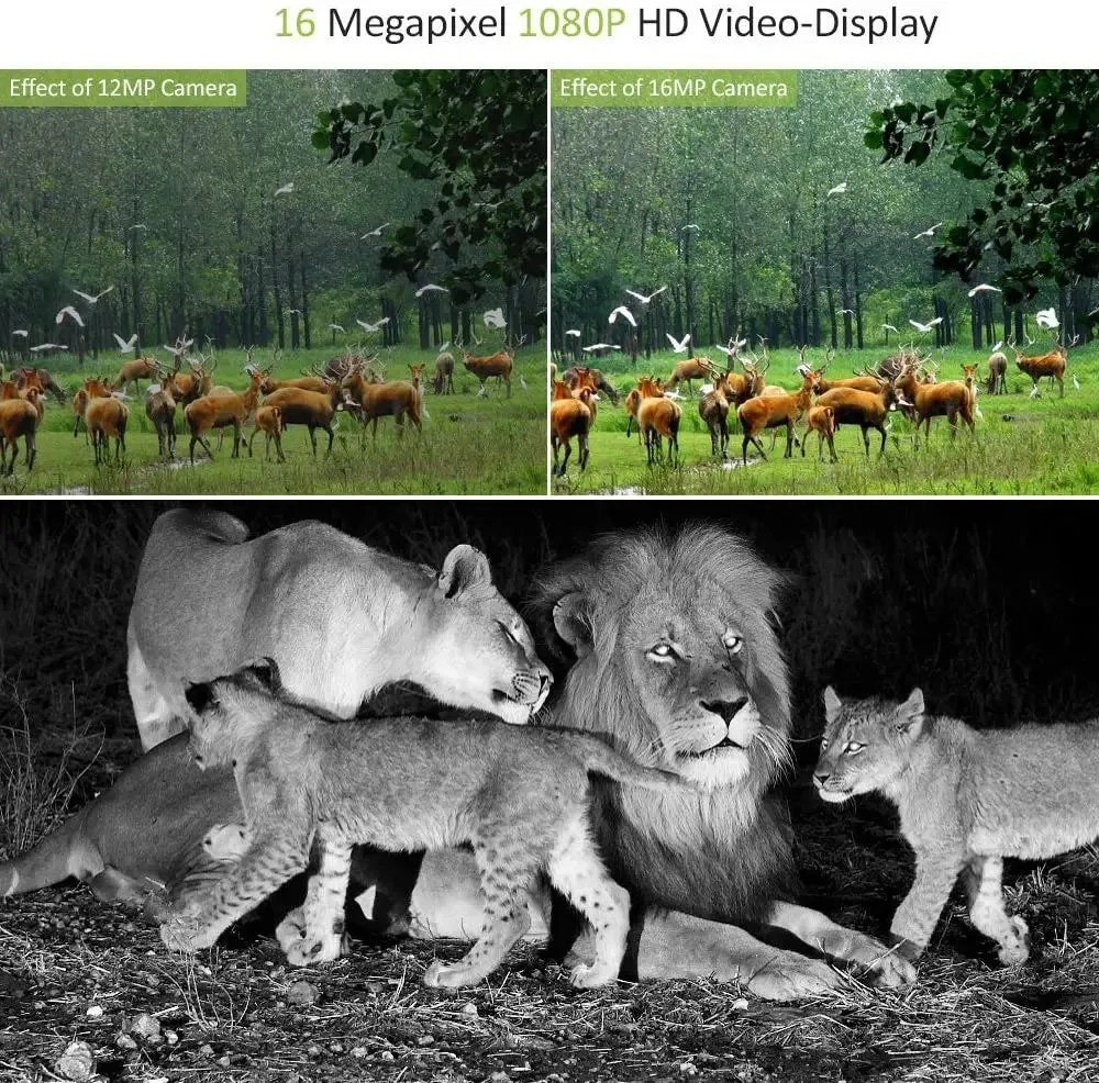 Hunting  Trail Camera 20MP 1080P Outdoor Wildlife Cameras Surveillance Night Vision Photo Traps Mini301