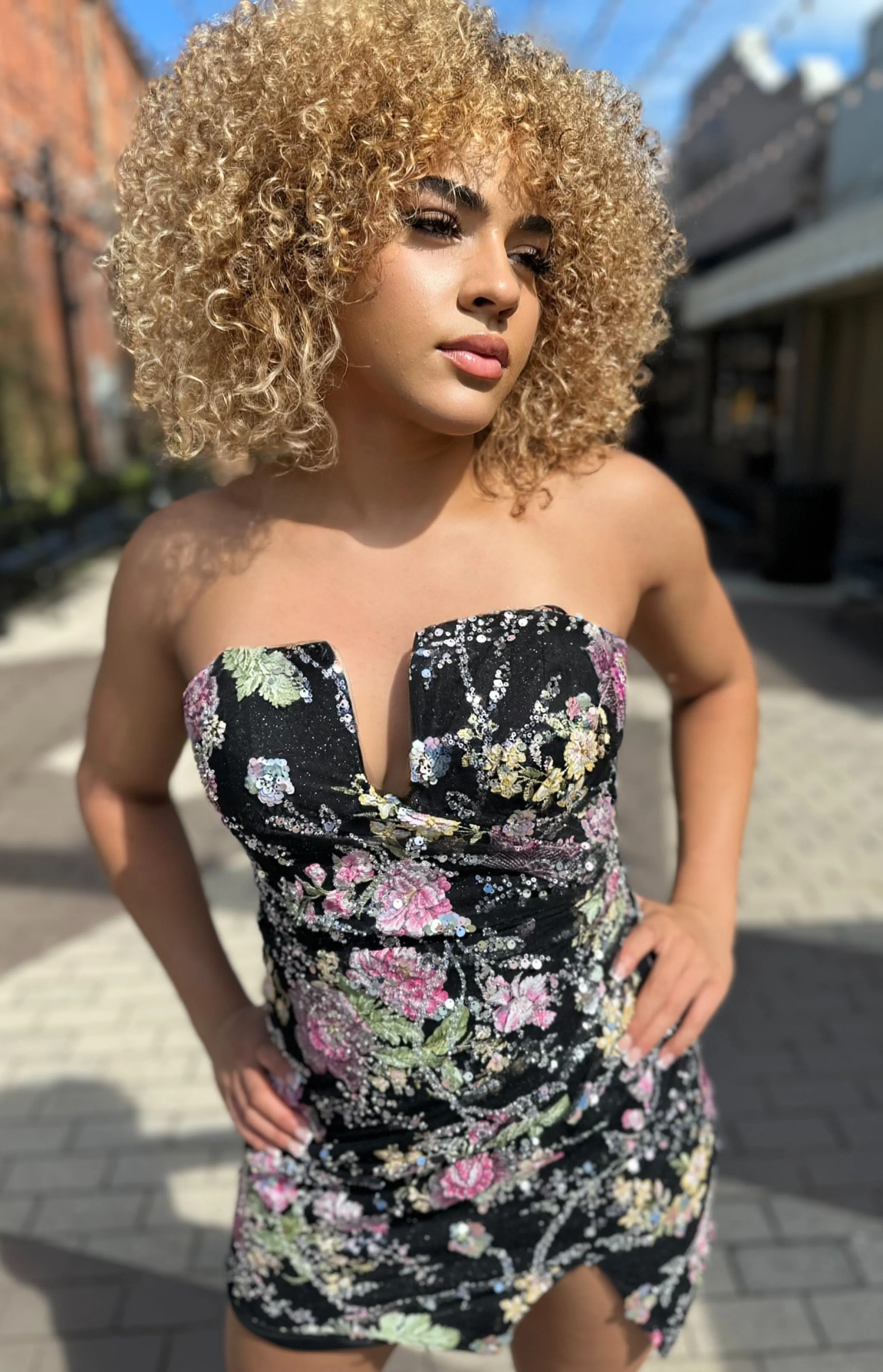 Liliana Floral and Sequin Embellished Dress