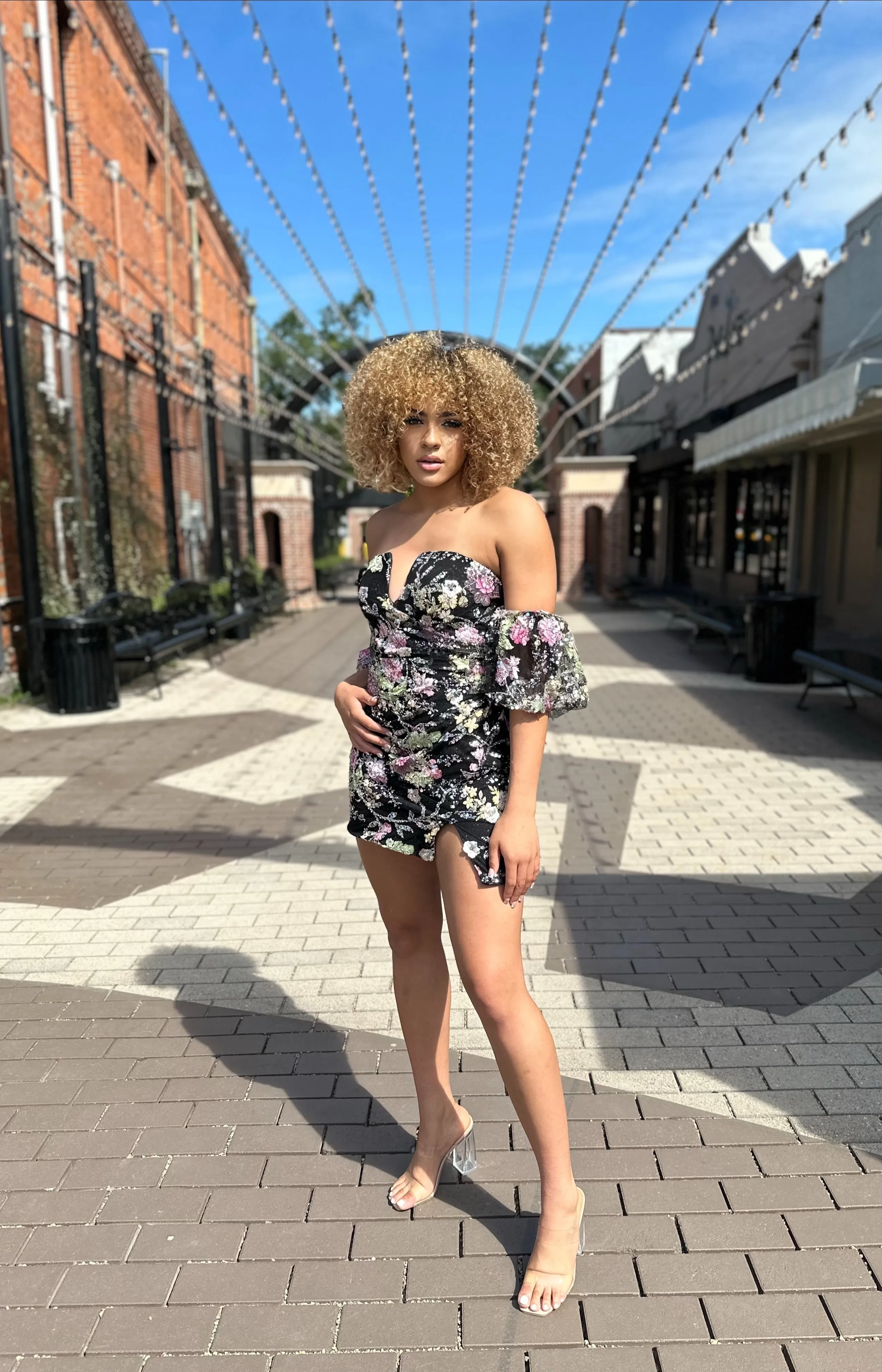 Liliana Floral and Sequin Embellished Dress
