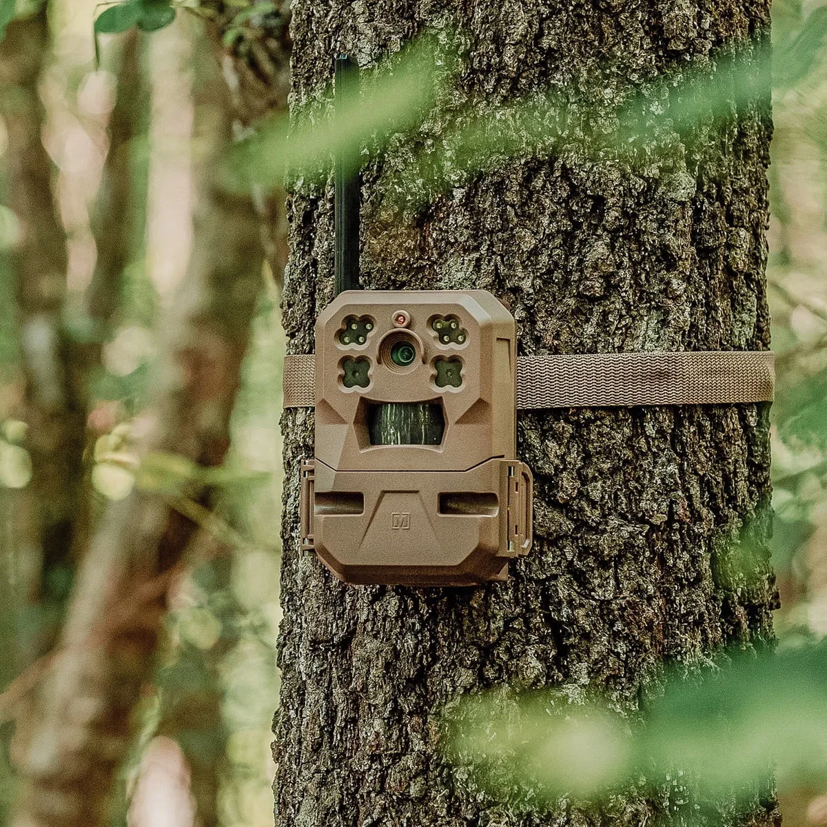 Moultrie Edge Cellular Trail Camera - Auto Connect - Nationwide Coverage - HD Video-Audio - Built in Memory - Cloud Storage - 80 ft Low Glow IR LED Flash (2-Pack)