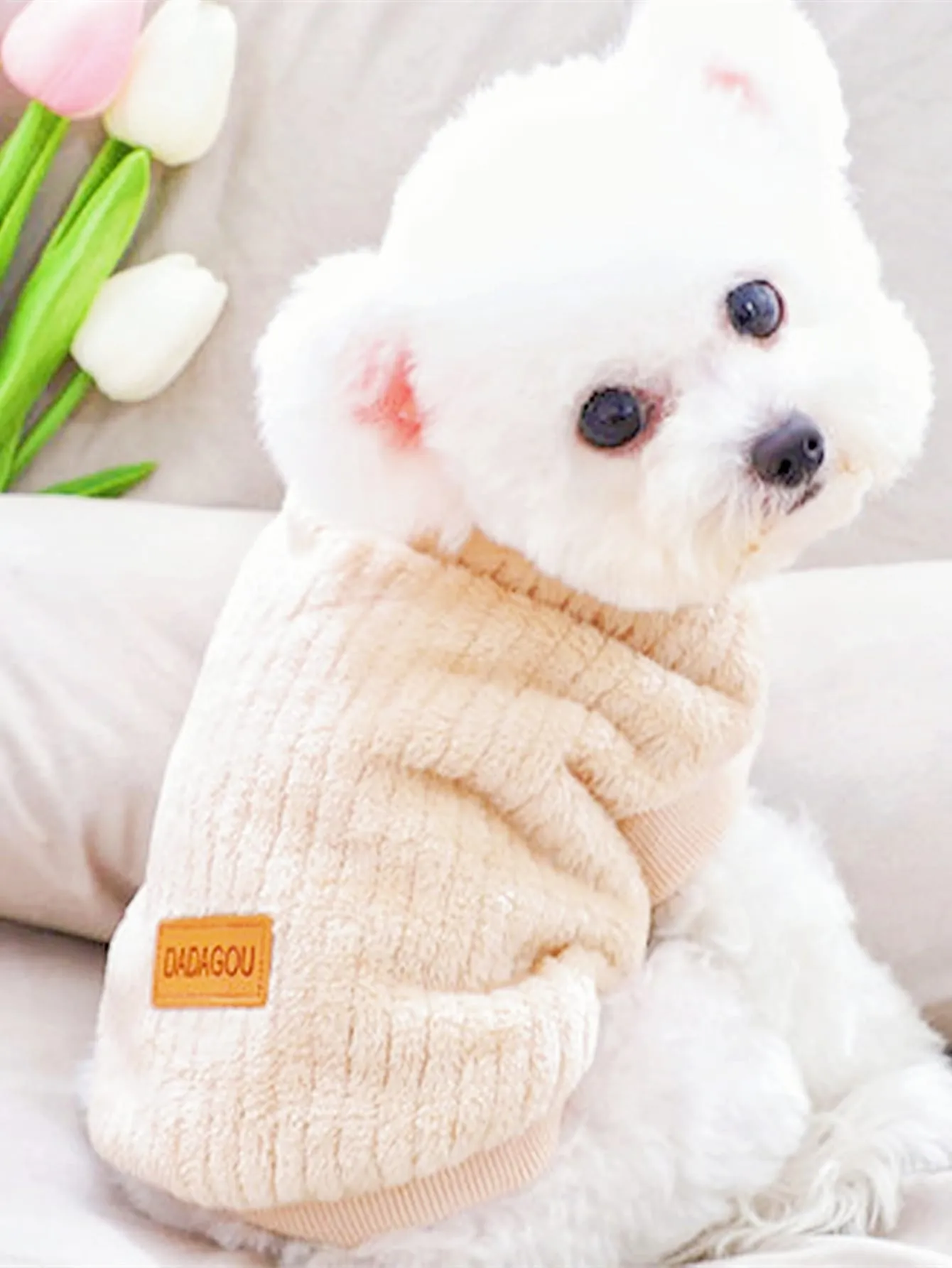 Plain Pet Sweatshirt,Knitwear