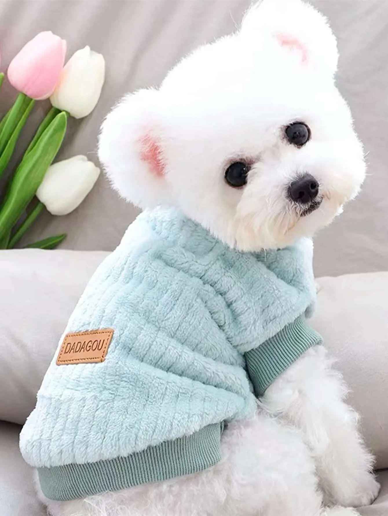 Plain Pet Sweatshirt,Knitwear