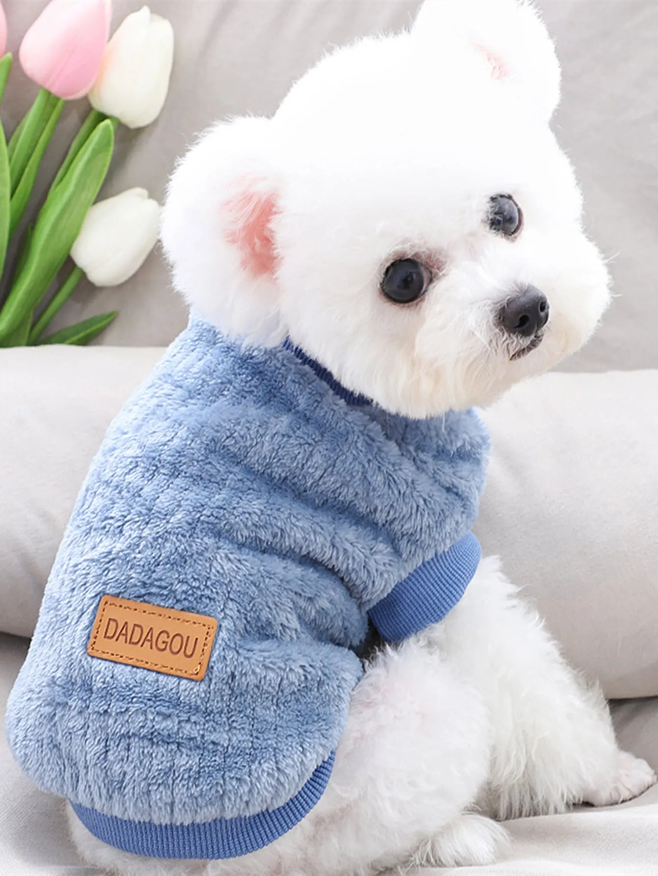 Plain Pet Sweatshirt,Knitwear
