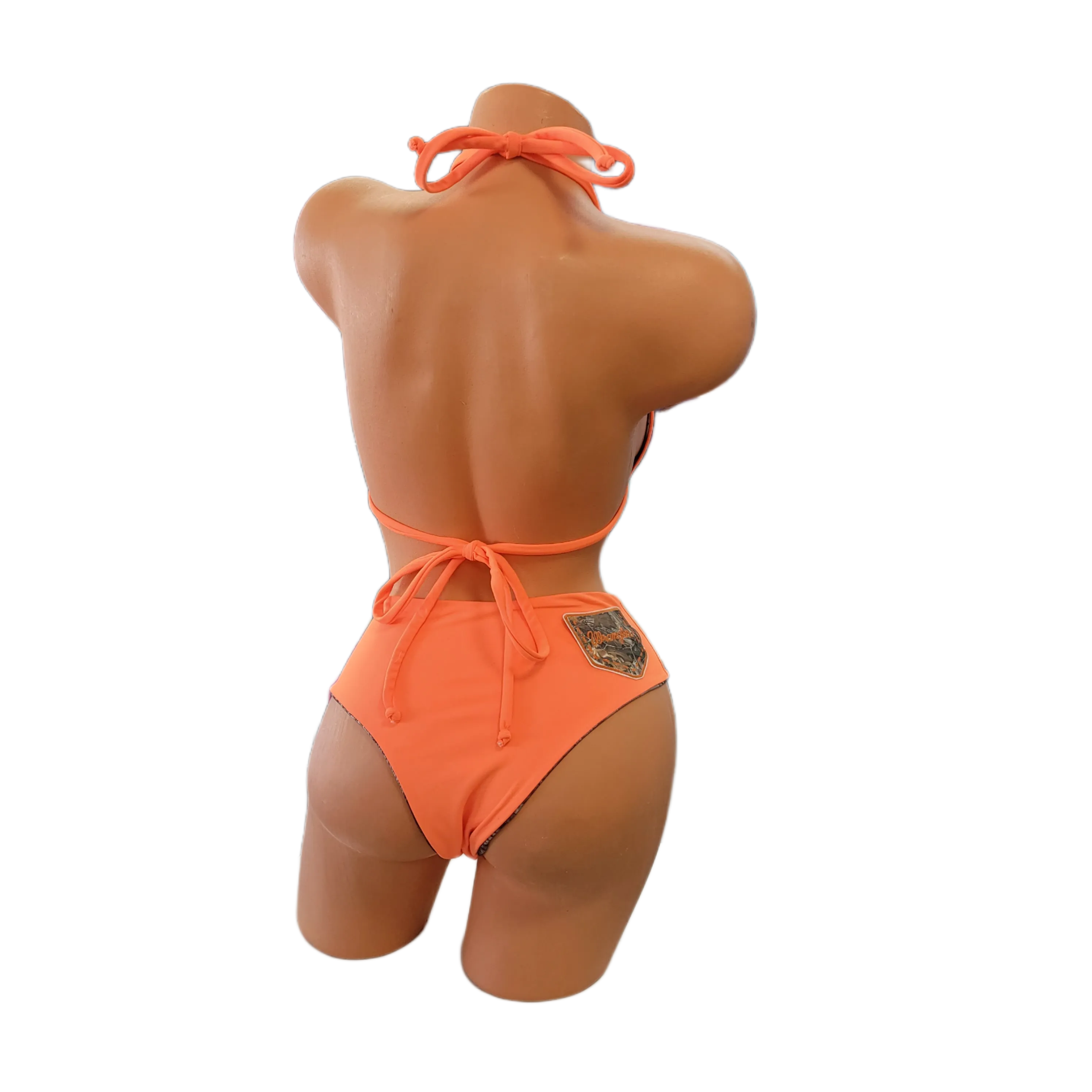 Wetlands Triangle Top